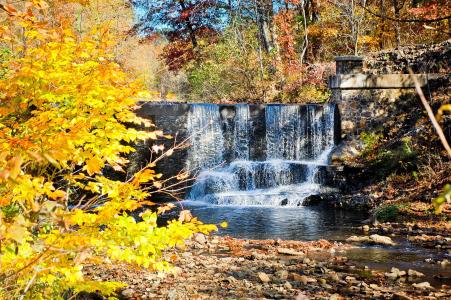 秋天，瀑布，小河，树木，大自然