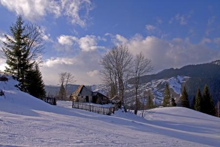 罗马尼亚，冬天，雪，房子，树，山，景观