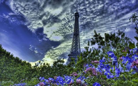 艾菲尔铁塔，艾菲尔铁塔，巴黎，法国，巴黎，法国，鲜花