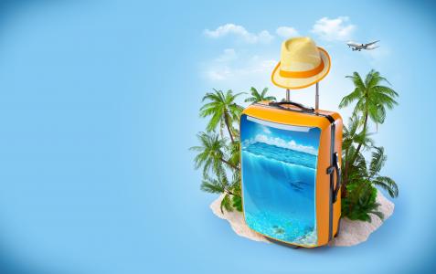 创意，手提箱，帽子，海，海豚，棕榈树，飞机，云，休息，度假村。