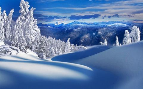 冬天，雪，山，景观