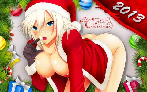 女仆，胸部，圣诞老人