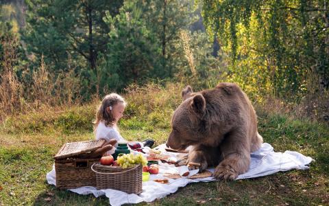 女孩，熊，野餐，性质
