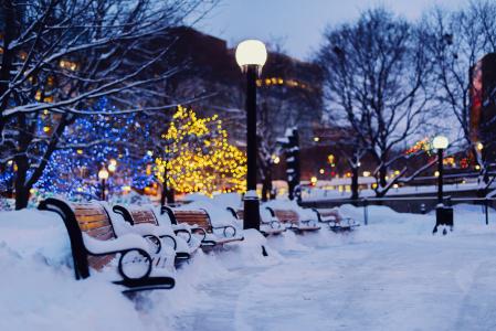 冬天，长凳，城市，晚上，雪