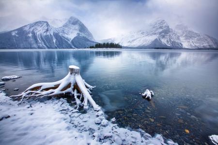 景观，冬天，雪，山，湖，卡纳纳斯基斯湖，加拿大艾伯塔省