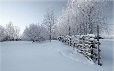 冬天，雪，树木，冰雪覆盖，围栏，围栏，痕迹