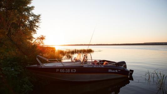 湖，早晨，黎明，甘蔗，小船，钓鱼竿
