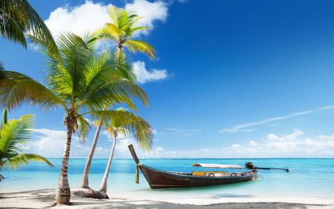 船，海，船，热带地区，棕榈树
