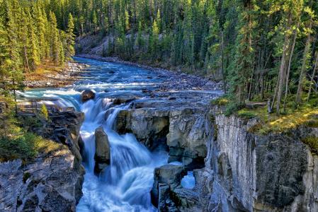 Sunwapta瀑布，Sunwapta河，贾斯珀国家公园，加拿大，加拿大，瀑布，河，岩石，森林，树木
