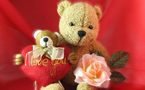 泰迪熊，花，玫瑰，心脏