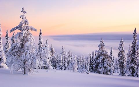 景观，自然，雪，冬天，山，树