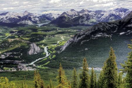 班夫国家公园，加拿大，山，树，顶视图，景观