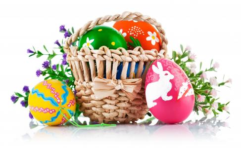 鸡蛋，复活节，篮子，鲜花，krashenki