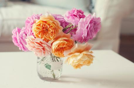 玫瑰，粉红色，鲜花，橙色