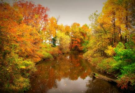 秋天，河，树，景观