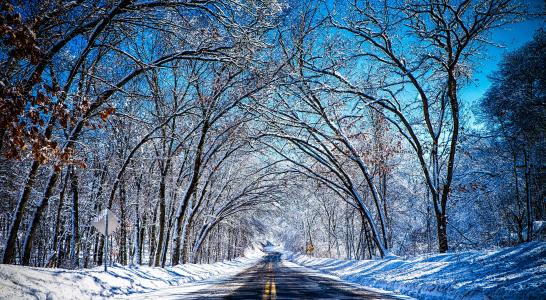 路，雪，树，天空，冬天
