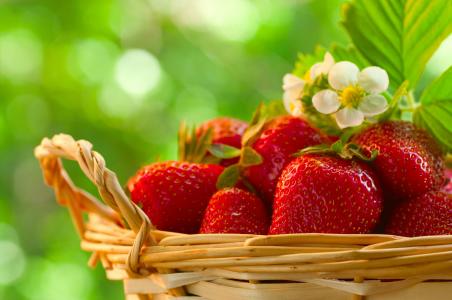 浆果，草莓，篮子，花卉