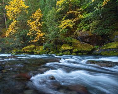河，森林，石头，秋天，性质