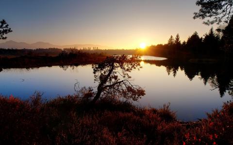 秋天，湖，树，日落，光滑的表面