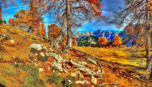 山，斯洛文尼亚，秋天，克拉尼斯卡树，人类发展报告，性质