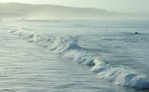 自然，海，波浪，水，雾