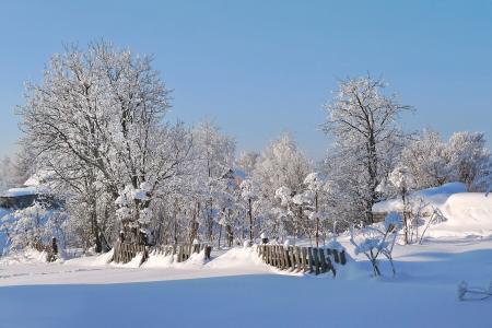 冬天，村庄，街道，雪，早晨