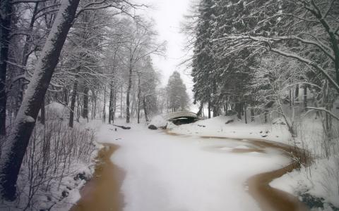 冬天，树木，河流，公园，雪，桥梁