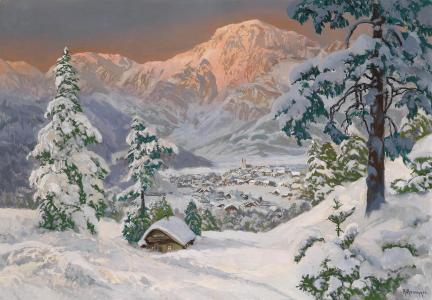 阿尔卑斯山，冬天，alois arnegger，树，雪，景观