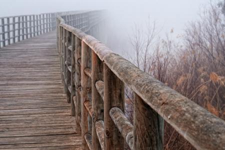 桥梁，宏观，栏杆，雾
