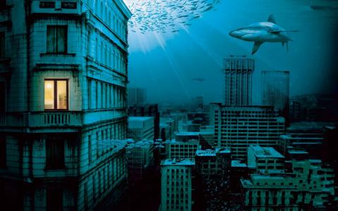 城市，当然，就像在海洋，鲨鱼，鱼，幻想中一样
