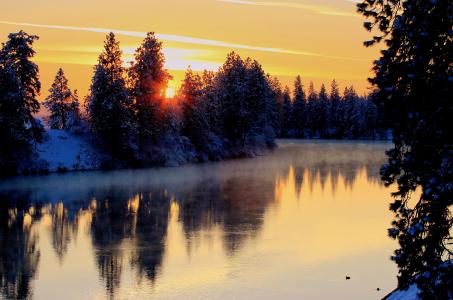 冬天，河，树，日落，景观