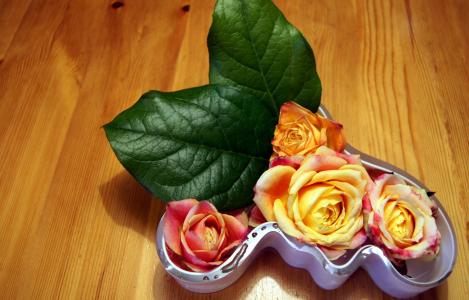 玫瑰，芽，叶子，花瓶