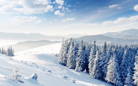 圣诞树，小山，云彩，雪，冬天