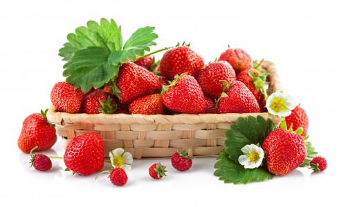 浆果，草莓，草莓
