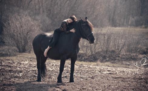 马，骑手，拥抱，舒缓