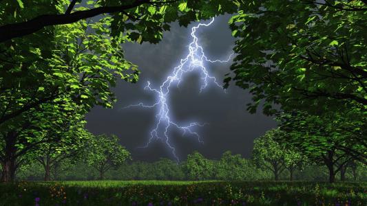 晚上，树木，花园，雷暴，闪电