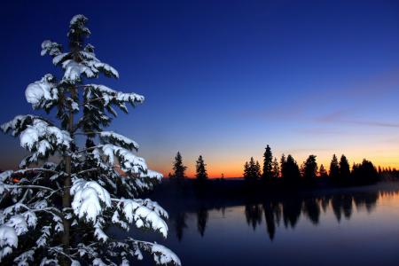 河，日落，冷杉，雪，树木