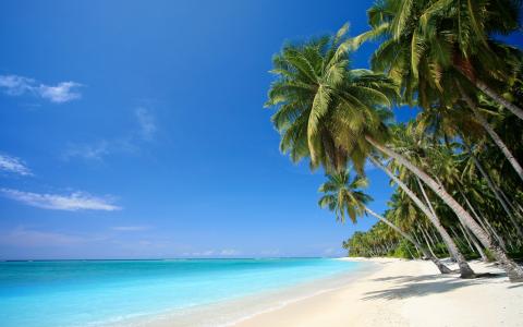 棕榈树，大海，沙滩，热带地区，沙滩