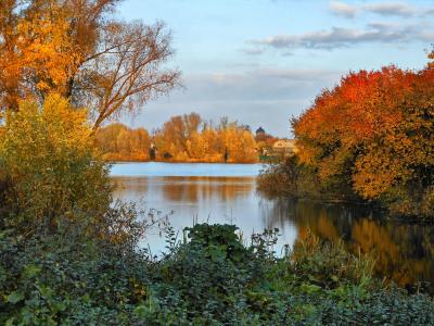 自然，景观，秋天，树木，河流