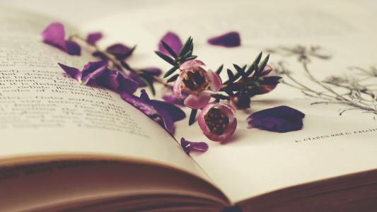 书本上的小紫花唯美意境