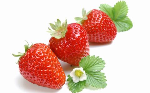 花草莓，浆果