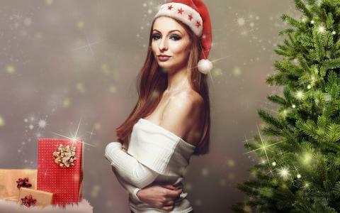 新的一年，圣诞节，假期，树，女孩，模型，礼品，灯