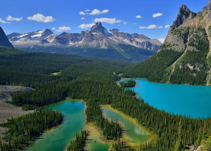 湖，山，森林，景观，加拿大幽鹤国家公园