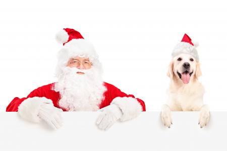 圣诞老人，狗，帽子