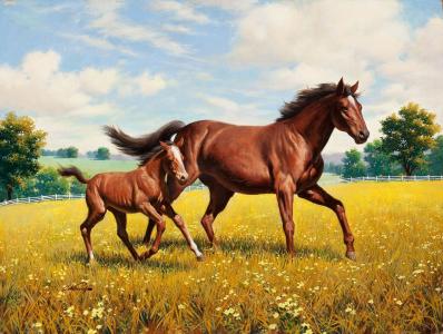 马，小马驹，草地，绘画，阿瑟萨隆萨尔诺夫