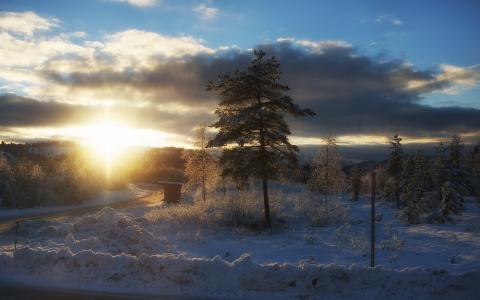 早上，冬天，风景