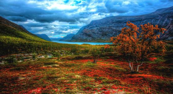 拉波尼亚，瑞典，山脉，丘陵，秋天，河流，树木，景观
