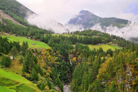 山，丘陵，河流，树木，从顶部看，景观，瑞士