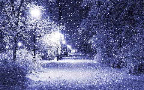 雪，公园里的灯光