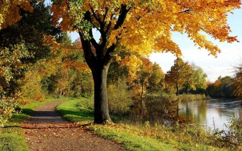 秋天，树木，公园，水路